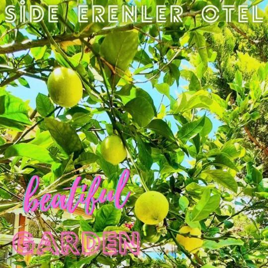 Side Erenler Hotel Екстериор снимка