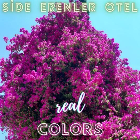 Side Erenler Hotel Екстериор снимка